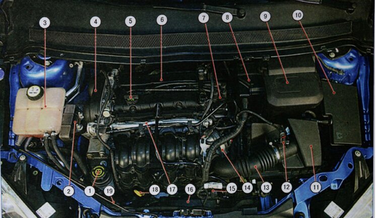 Рис. 1.2. Подкапотное пространство автомобиля с двигателем 1,6 л Duratec Ti-VCT (вид сверху)